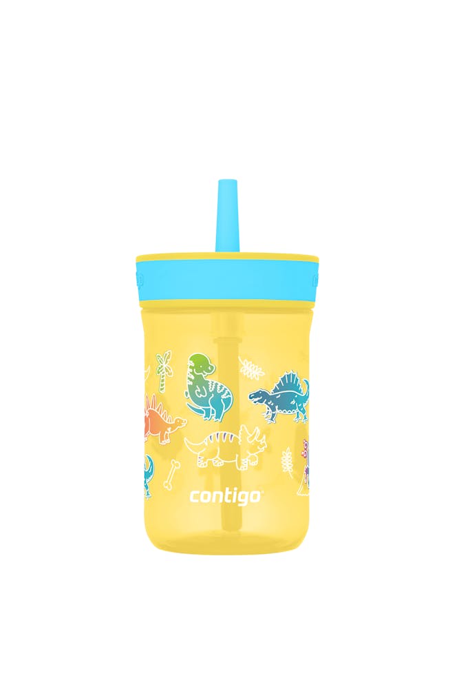Kids’ Leighton Straw Tumbler with Spill-Proof Leak-Proof Lid, 14oz R0